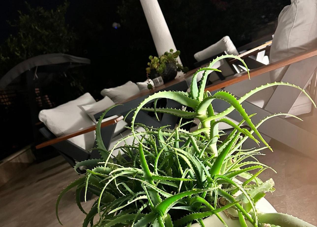 Noa Suite Hotel Only Adult Bodrum Esterno foto